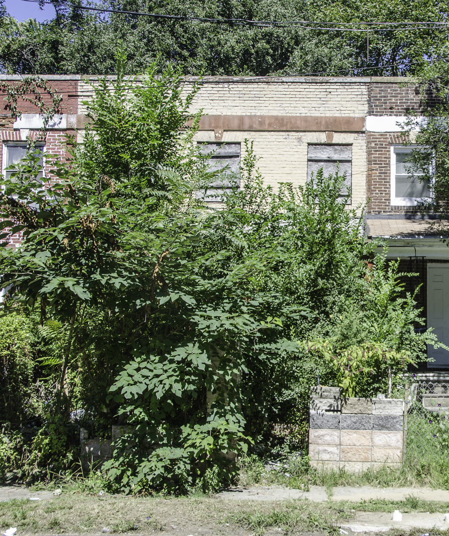 737 Sylvan Street, September 5, 2013
