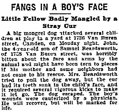 Fangs in a Boy's Face — Philadelphia Inquirer, September 14, 1898