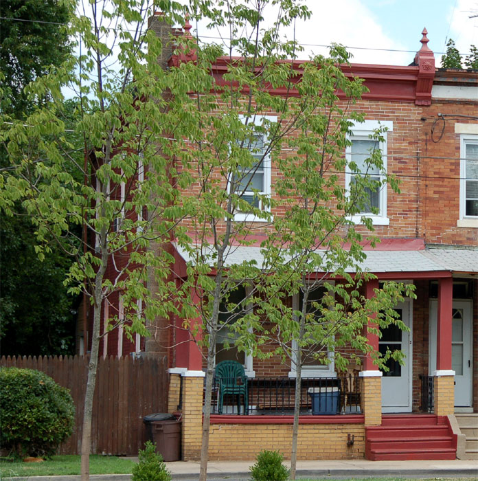 381 Webster Street, June 30, 2011