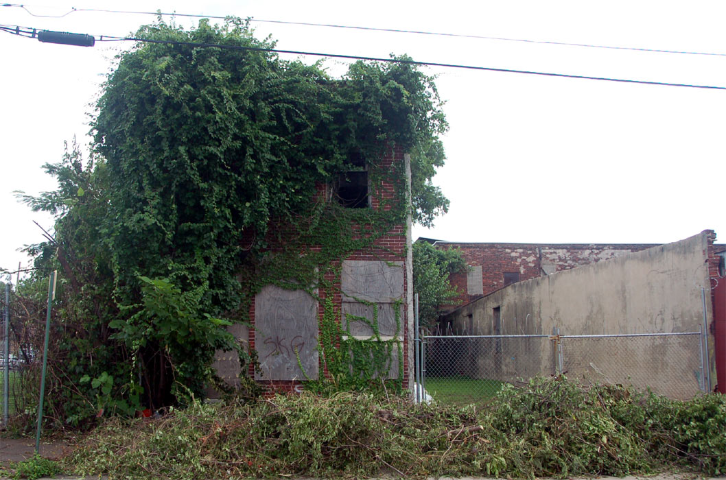 428 and 430 Webster Street, August 5, 2011