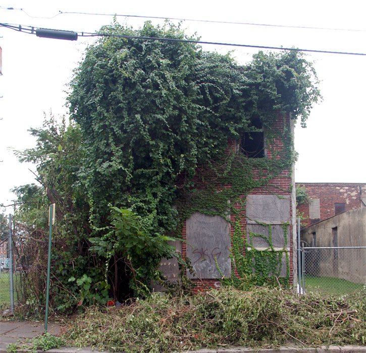 430 Webster Street, August 5, 2011