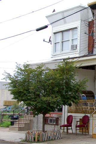 341 Winslow Street, built 1915 — June 27, 2011