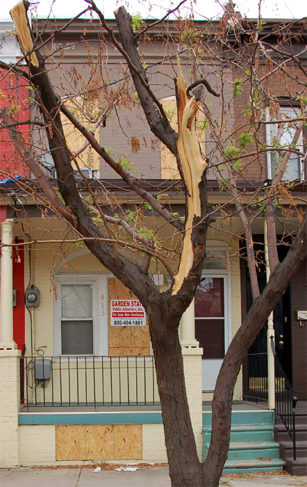 413 Winslow Street — June 27, 2011
