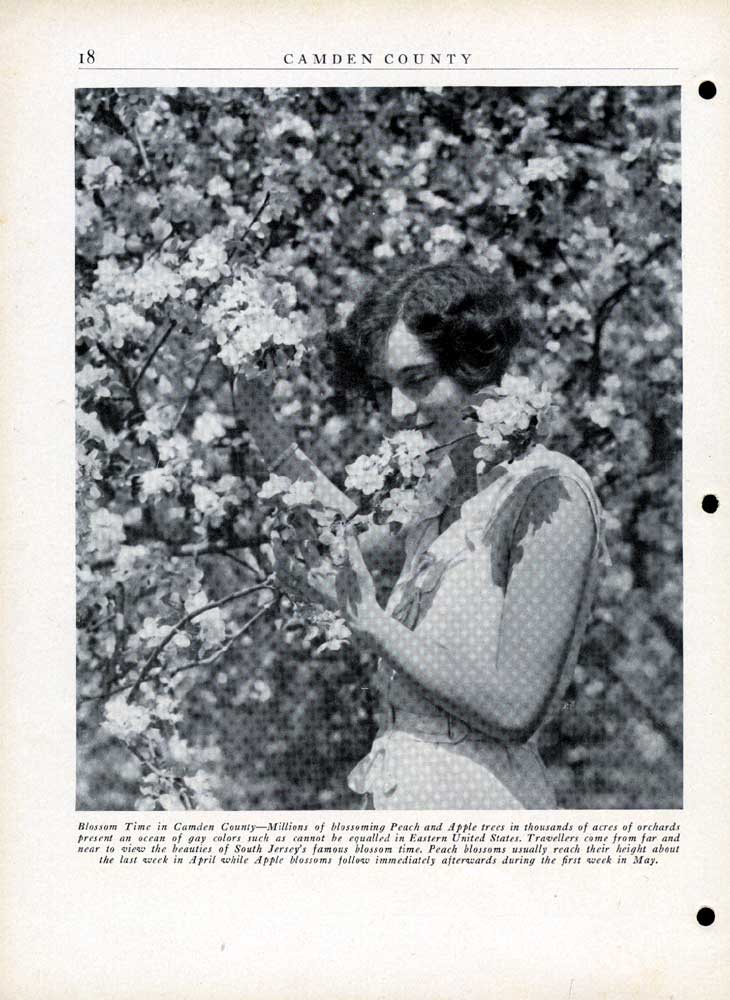 Camden County NJ 1681–1931 — page 18