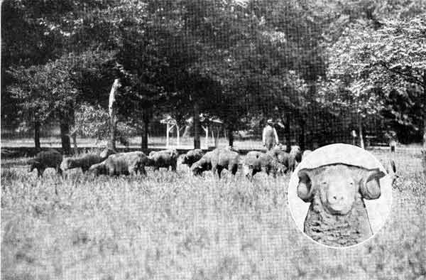 Camden, N.J. — Photographs, 1928