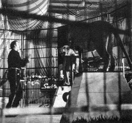The Big Top TV show at Camden Convention Hall, 1953 - lion tamer