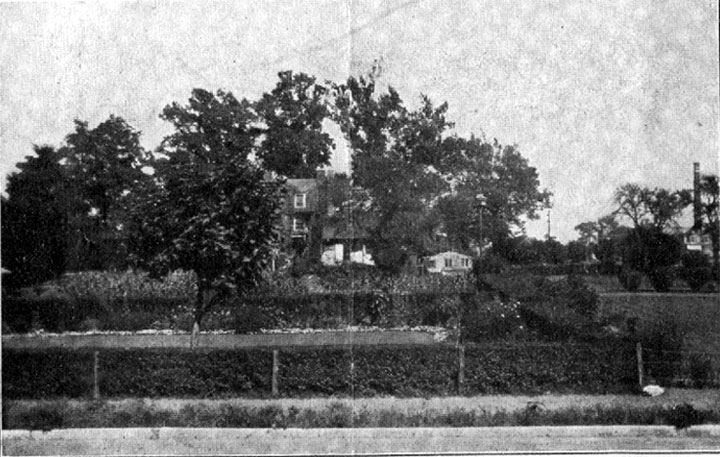 Pyne Poynt Library from Sixth Street Houses