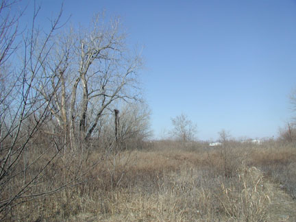 Facing west at the former shipyard property, old light pole visible