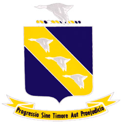 11th Bomb Group, Heavy insignia