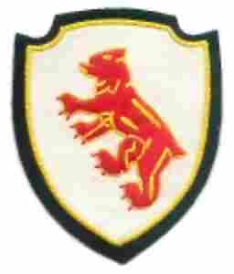 191st Tank Battalion patch