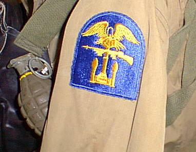 Close-up of ESB insignia on left shoulder