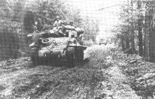 The Kall River in the Hurtgen Forest, November 1944