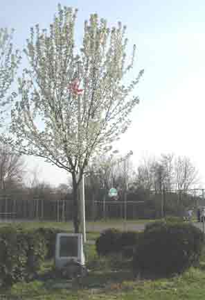 Francis X. McGraw memorial monument, Camden NJ