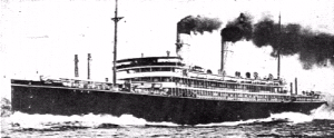 The Shinyo Maru
