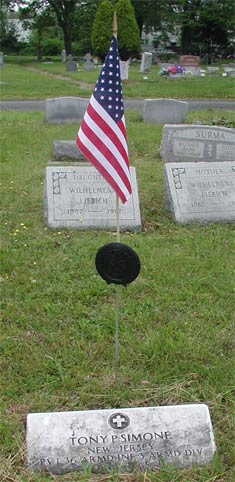 Tony P. Simone