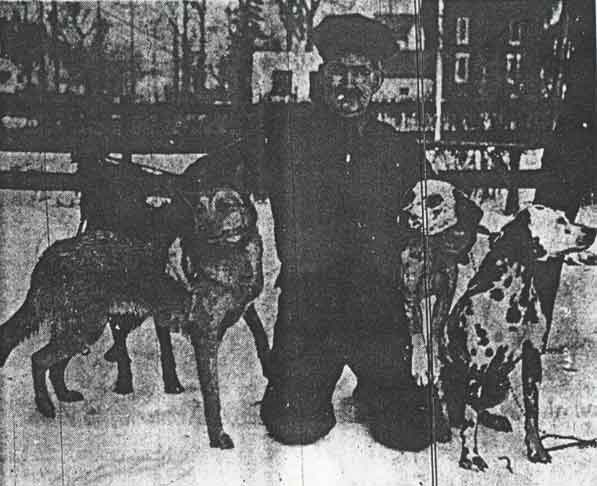 Camden Courier-Post, February 4, 1943 — Ralph H. Suydam, Pennsauken poundkeeper, with four dogs enlisted for war service