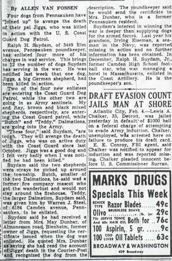 Camden Courier-Post, February 4, 1943 — full article about dogs enlisted for war service