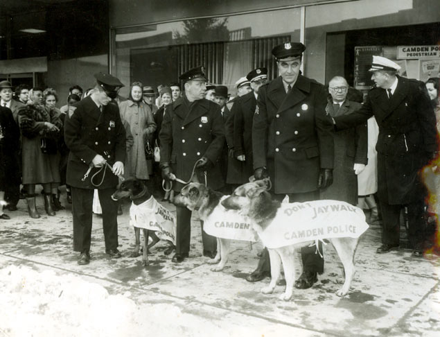 Sgt. Carmin Fuscellaro Jr. with the Camden Police K-9 unit, 1950s