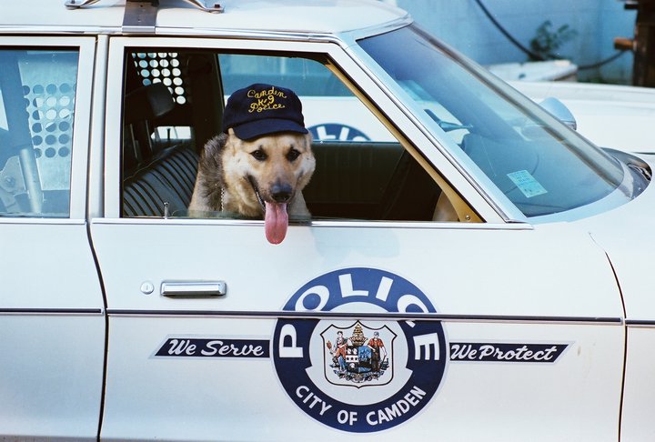 Tommy Kenuck's dog Bullet