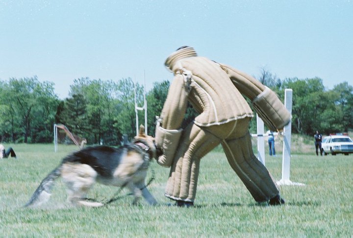K-9 Unit, Camden Police Department