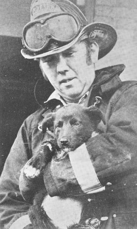 Ladder 2 dog rescue at 1200 Park Boulevard, May 26, 1977