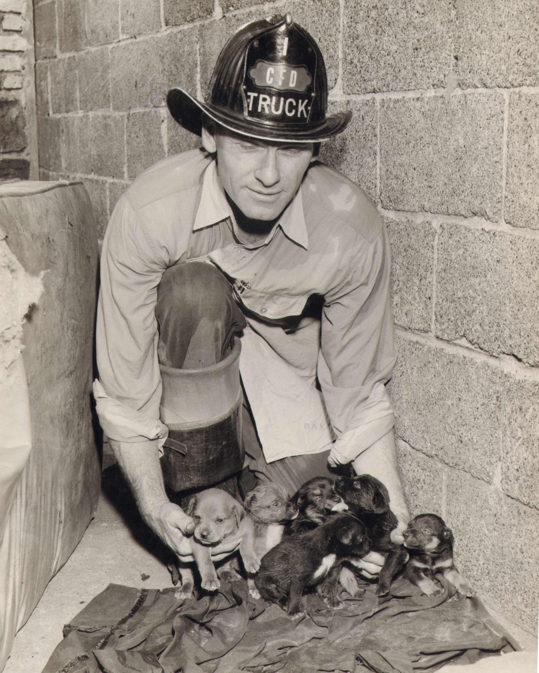 Fireman George Baxter of Ladder Company 1 displays rescued puppies from a Howard Street fire, September 23, 1959