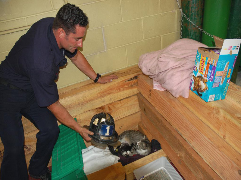 Smokey's friend, firefighter Dan Stratton of Rescue 1, stopping by for a visit