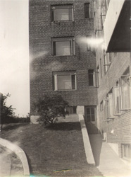 Embankment in front of laundry entrance of Building 13, July 1941