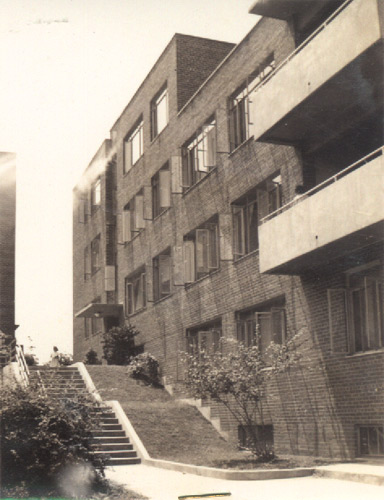 Concrete steps and terrace on southeast side of dell, July 1941