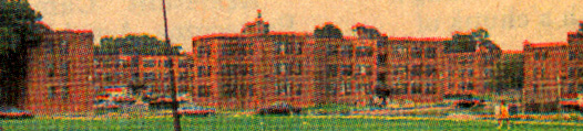 Rear of Westfield Acres, 1995