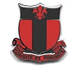 20th Engineer Regimental Arms
