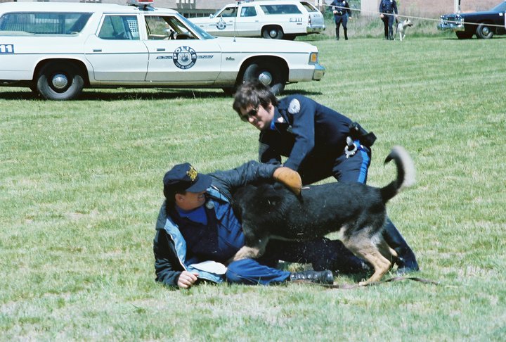 Bob Nelson and Butch with Sgt. Harry The Hat Harris during K-9 Demo for school kids