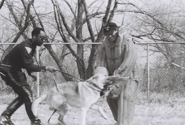 Officer Lawson Skip Lamp with his dog Kelly and Sgt. Harry Harris in the Jute Suit