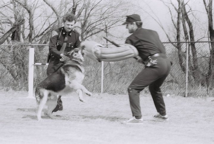 Officer Ronnie Miller and K-9 Banchee with Sgt. Harris holding the Bag