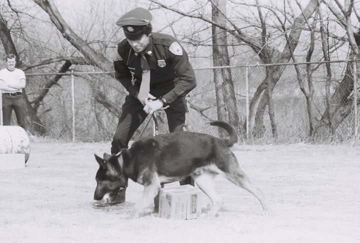 Bob Nelson and Butch doing drug work