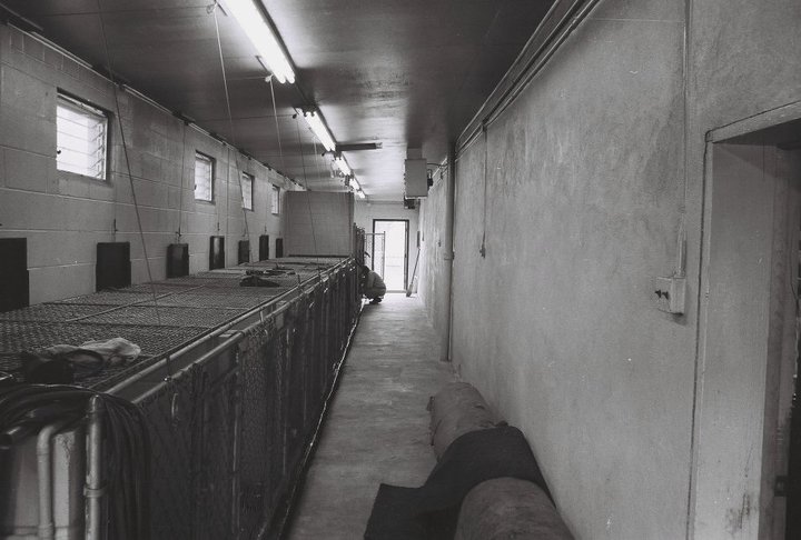 Main Kennel inside the old sewage treatment plant