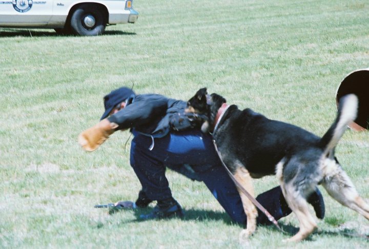 Butch and Sgt. Harry Harris
