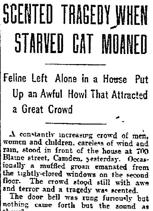 Philadelphia Inquirer, December 21, 1903 — Scented Tragedy When Starved Cat Moaned headline