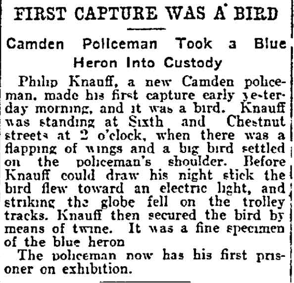 Philadelphia Inquirer, May 7, 1905 — First Capture Was a Bird