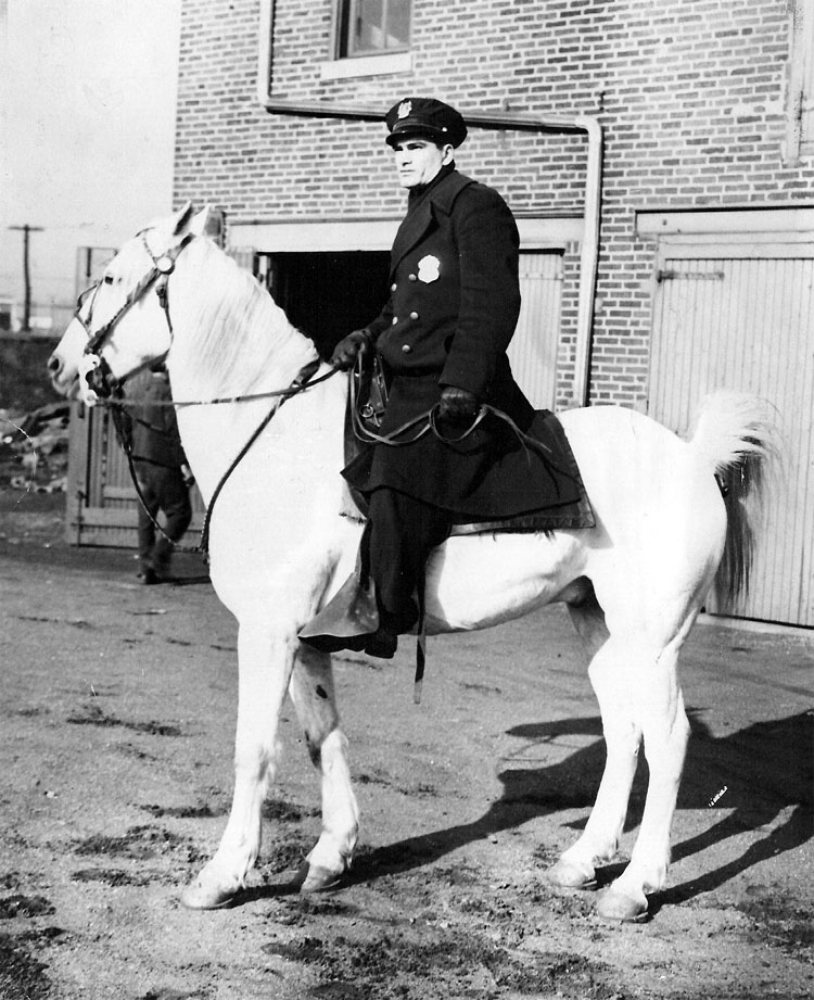Officer Joseph Valeriano at the Police Department Stable, January 10, 1947
