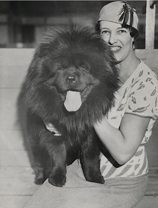 Far Land Thundergust, champion black chow dog, with Mrs. William MacFarland of Camden
