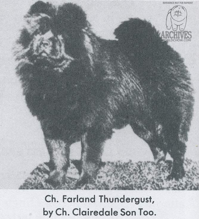 Ch. Farland Thundergust, by Ch. Clairedale Son Too