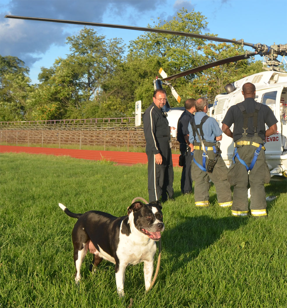 Lola, Helicopter Pilot, Larry Buckingham, Darien Gans