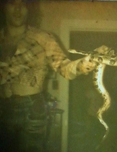 Joe Seddon handling a rattlesnake, 1972