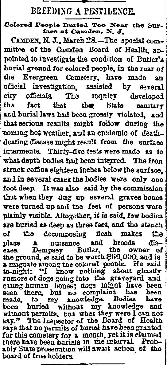 Chicago Daily Inter-Ocean March 29, 1889