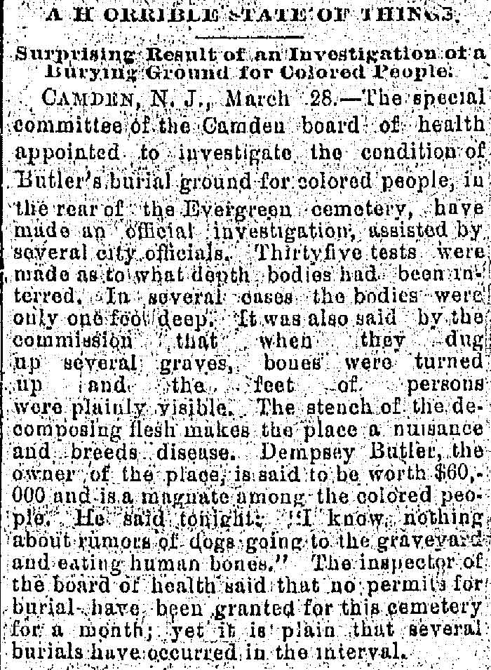 Cleveland Plain Dealer March 29, 1889