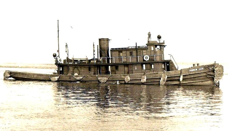 Gwendoline Steers, another view