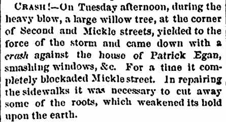 Camden Democrat, August 24, 1872 — tree falls on Patrick Egan house