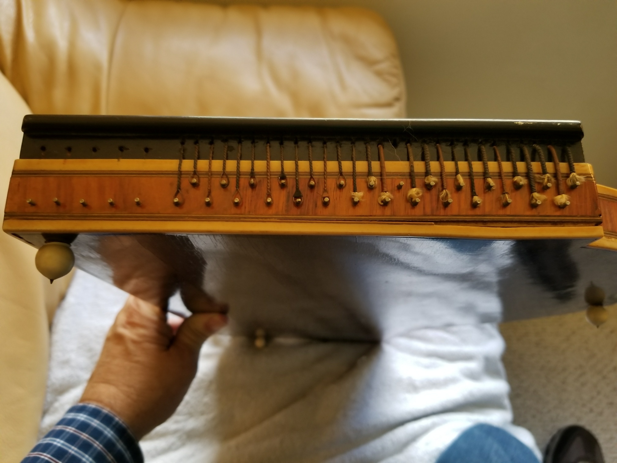 Autoharp zither, full view