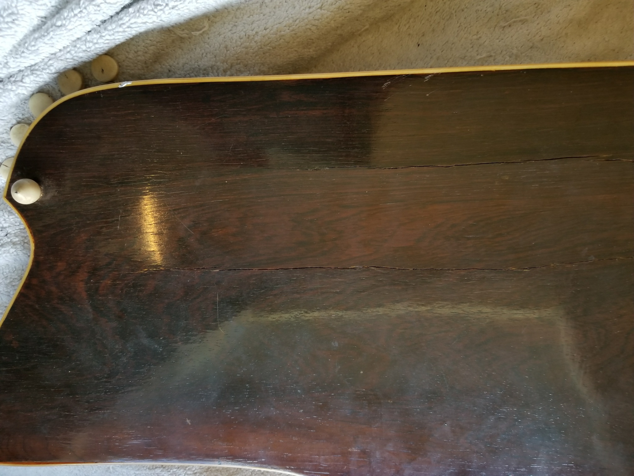 Autoharp zither, side view